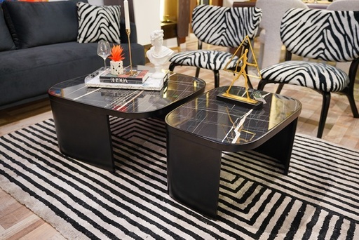 Rival coffee tables set, two pieces, art-188