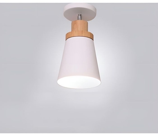 Ceiling lamp - LSQ73