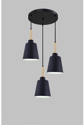 Ceiling lamp - LSQ53