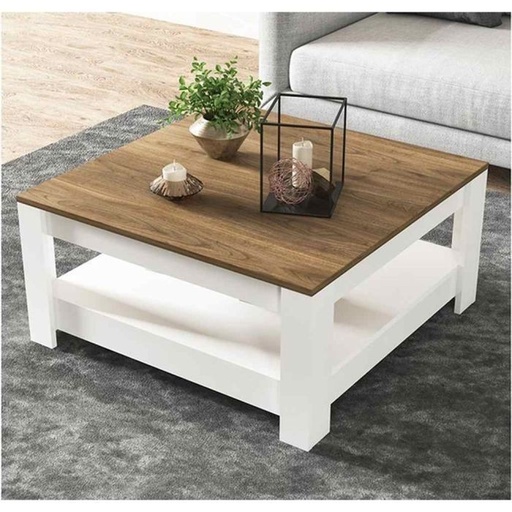 Coffee table, White*Brown - TB1013