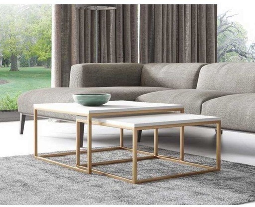 Coffee table set, White/Gold - st78