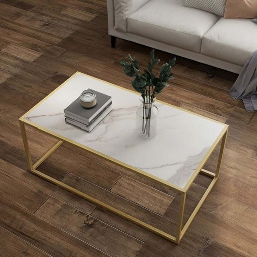 Coffee table - st296