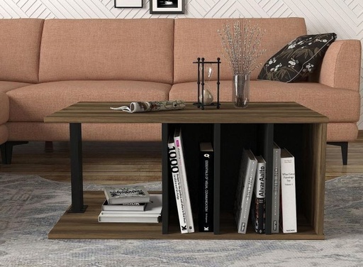 Coffee Table, Brown/Black - RA-T13