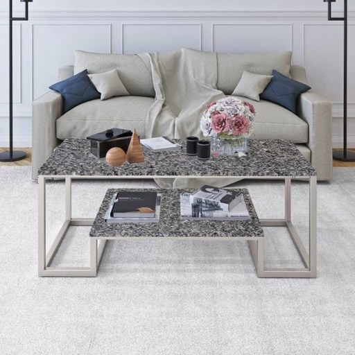 Coffee table, Silver*gray - EM12