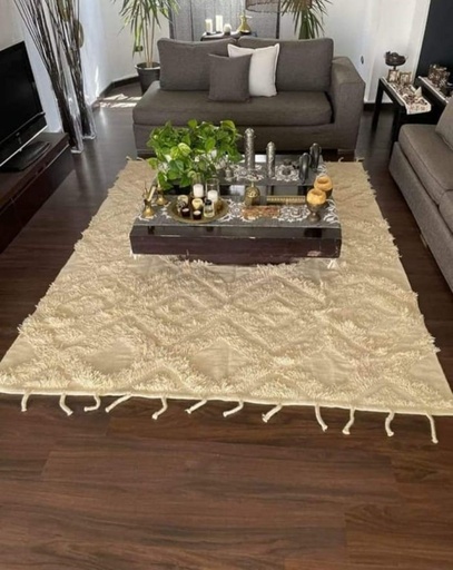 Handmade Wool Rug - Sc47