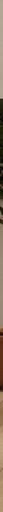 دولاب 100×220سم - FFU27
